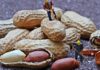 Nutritional And Health Benefits Of Peanuts