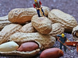 Nutritional And Health Benefits Of Peanuts