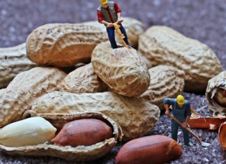 Nutritional And Health Benefits Of Peanuts