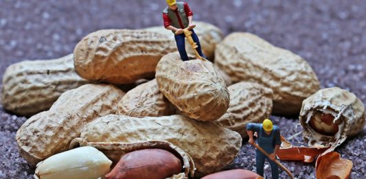 Nutritional And Health Benefits Of Peanuts