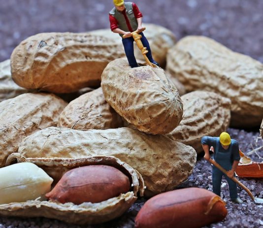 Nutritional And Health Benefits Of Peanuts
