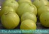 The Amazing Benefits Of Amla That You Should Know