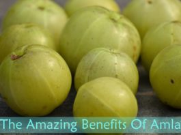 The Amazing Benefits Of Amla That You Should Know